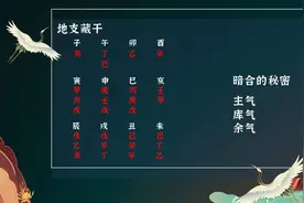 一分钟学会地支藏干，简易记忆法则揭秘！视频封面