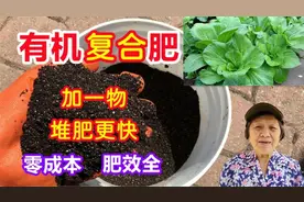 自制有机肥，加一物，堆肥更快，肥效全，不用花钱，制作简单