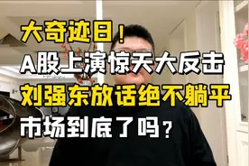 大奇迹日！A股上演绝地大反击，刘强东传递寒意，市场到底了吗？视频封面