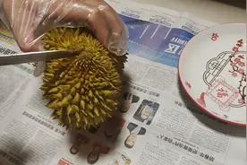 六一儿童节，一镜到底开榴莲，重1.5斤，大家帮我算算出肉率💓