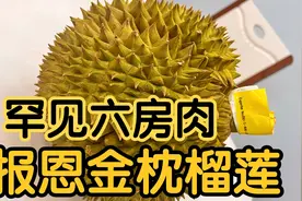 看罕见六房金枕榴莲，果型圆滚滚像球的榴莲，这个榴莲盲盒赢了吗视频封面