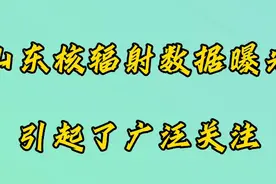 山东核辐射数据曝光引起了广泛关注视频封面