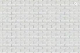 巴迪基础教育之歌