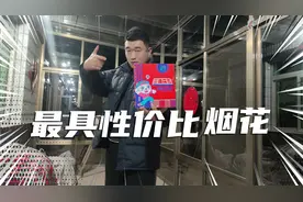 我宣布：这是2024年最具性价比的烟花！