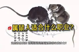 属鼠人适合什么职业？