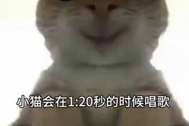 唱歌小猫视频封面