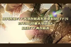 跨境ETF大涨创新高东南亚科技ETF(513730)放量大涨
日经ETF新高