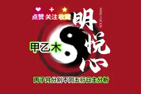 丙子月甲乙木日主事业财运分析，每天学习一点点……视频封面