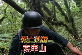 哀牢山原始森林，一个充满神秘和危险的人类禁区！#哀牢山视频封面