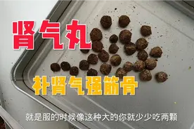 自制肾气丸的过程，肾气不足腿脚软弱无力，精力不好可用视频封面