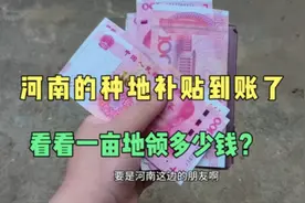 2024年种地补贴发下来了，一亩地能领多少钱？看看比你那边高吗？视频封面