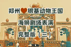 17000往前冲，郑州银基动物王国海狮剧场表演完整版（三）视频封面