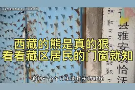 为什么藏区不少住户的门上都有钉子？！视频封面