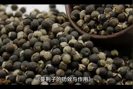 蔓荆子的功效与作用视频封面