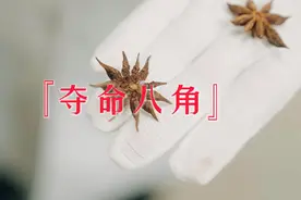 这种假“八角”有毒，千万不能吃视频封面