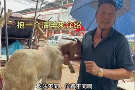 农村宰羊大哥抱一只活羊介绍羊身上各个部位肉质的特点，生动直观视频封面