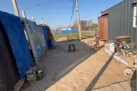 菜园里有一座小房子，园子里除了能种菜还能养小鸡视频封面