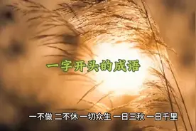 一字开头的成语视频封面