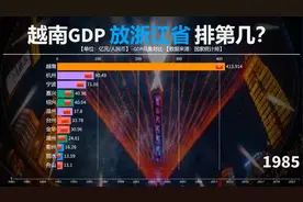 越南快速崛起，经济实力很强？GDP放浙江省排第几？看对比视频封面
