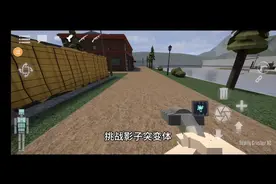 G沙盒：挑战影子突变体