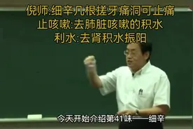 倪海厦:细辛止牙痛，止肺有积水咳嗽，可利肾脏积水