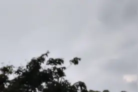 HIM是真实存在的吗，这个视频告诉你答案@文哥哥
