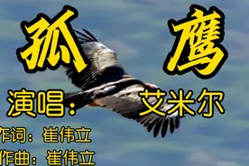 火爆全网的励志歌曲《孤鹰》艾米尔演唱，歌声气势磅礴，荡气回肠视频封面