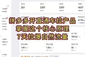 拼多多开直通车，你掌握这个核心原理，7天拉爆自然流量视频封面