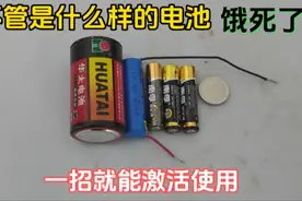 才知道，不管什么样的电池饿死了，一招就能激活使用，果断收藏了视频封面