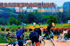 江夏藏龙岛国家湿地公园，踏青，露营，遛娃的绝佳之地视频封面