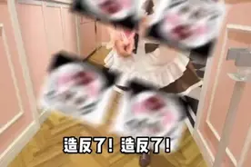 韩国和日本联手怒斥美国爸爸视频封面