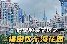 深圳市最早的豪宅区之一，东海花园，地理位置一流视频封面