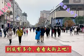 11月25号，北京太冷了，到底冷到什么程度，看看大街上吧视频封面