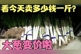 山东大葱变价啦，今天去超市，看大葱卖多少钱一斤？超市人真多视频封面