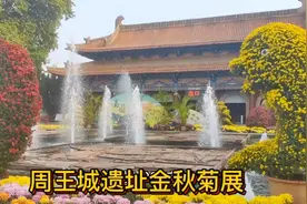 洛阳王城公园：东周王城遗址！赏牡丹主场！十六届金秋菊展！视频封面