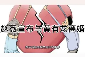 “赵薇宣布与黄有龙离婚，明星夫妻婚姻画上句号”视频封面