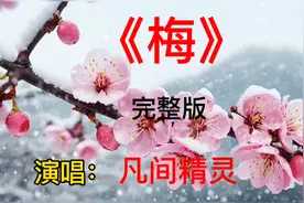 梅花迎风傲雪，坚强的品格令人敬佩。这首《梅》旋律优美好听极了