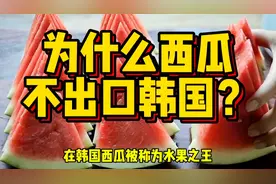 多地西瓜价格跌破一块，为什么不把国内西瓜，出口到韩国？视频封面