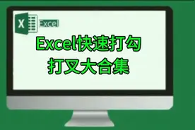 Excel高效办公技巧精粹：快速打勾打叉大合集，学会办公不求人视频封面