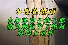 小叔的房子柱子都被白蚁蛀空了，绝对算得上危房视频封面