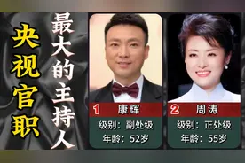 央视官职最大的主持人