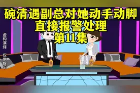 第11集｜碗清遇副总对她动手动脚，直接报警处理视频封面