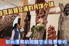 自驾游到合浦的月饼小镇，如此漂亮的根雕艺术可以免费参观视频封面