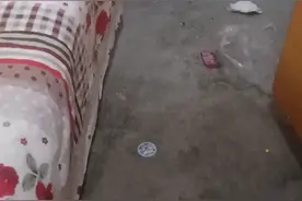 盘点我最喜欢的玩具 ！视频封面