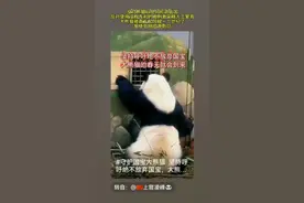 大熊猫是国有珍稀生物资源是伞护物种，保护大熊猫是保护生态平衡视频封面