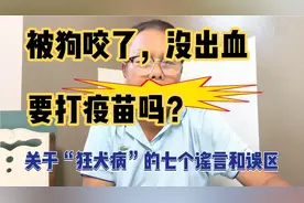 被狗咬了，没出血，要打疫苗吗？关于“狂犬病”的七个谣言和误区