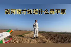 河南为什么被称为中原，实拍河南小麦种植，耕地面积一眼望不到边视频封面