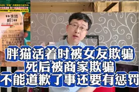 胖猫活着时被女友欺骗，死后被商家欺骗，不能道歉了事还要有惩罚视频封面