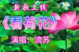 流苏一首《看荷花》纯净的嗓音，歌声的甜美， 令人陶醉。