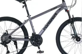 甜瓜游乐场制作 自行车